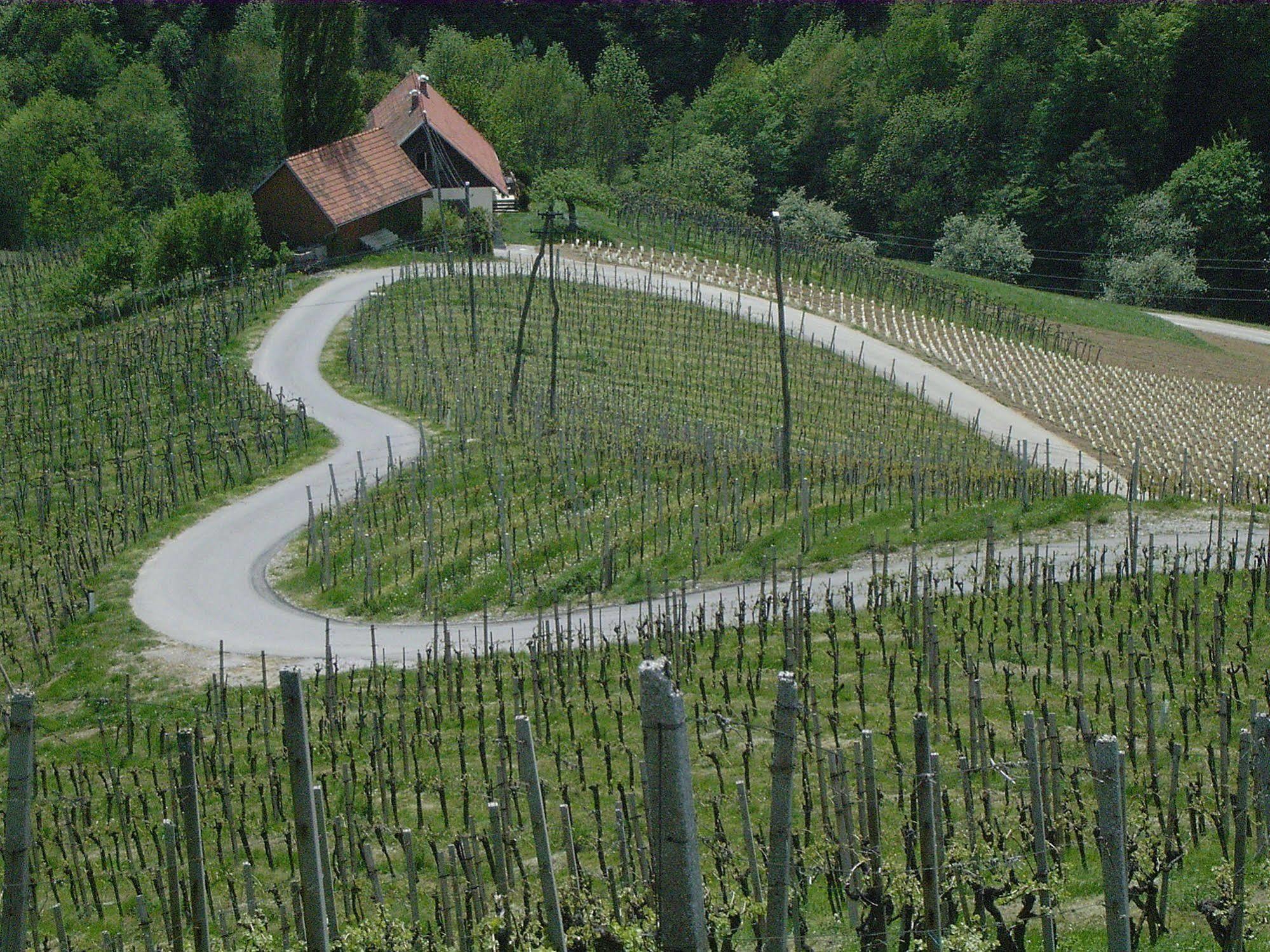 Weingut Primus Suedsteiermark Шпильфельд Экстерьер фото